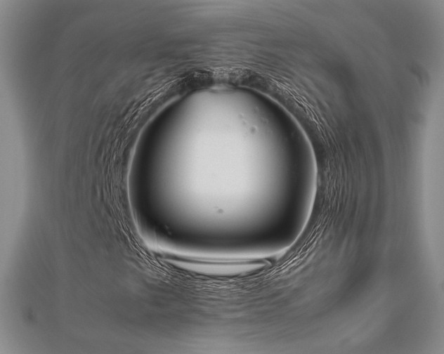 X0000112471249200908171151