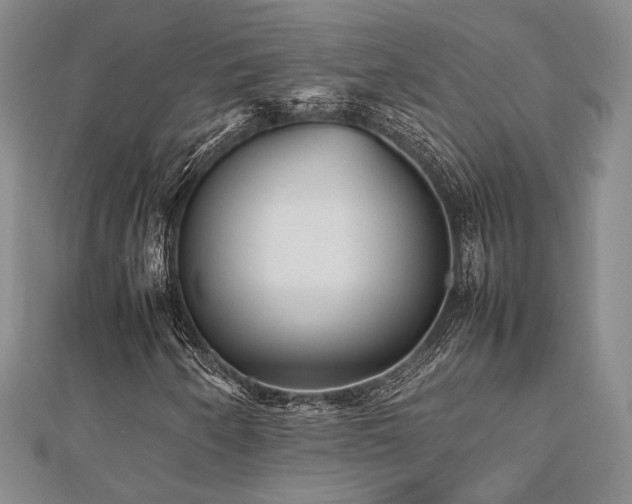 X0000112471250200908171151