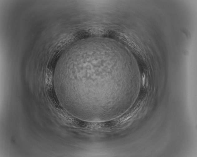 X0000112471251200908171151