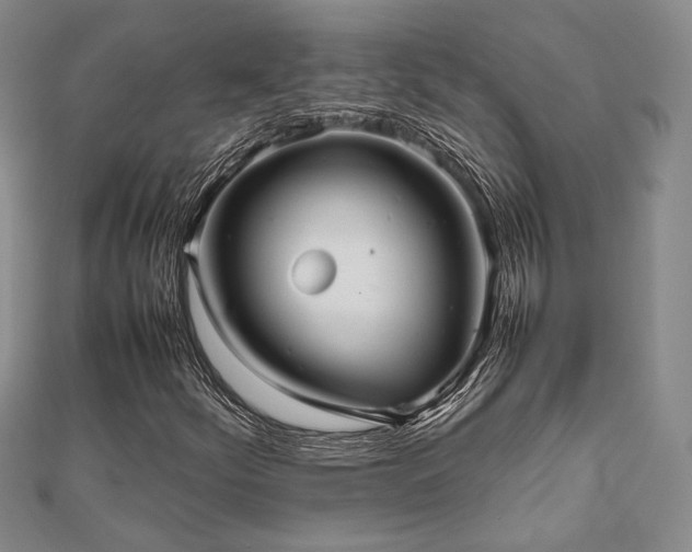 X0000112471252200908171151