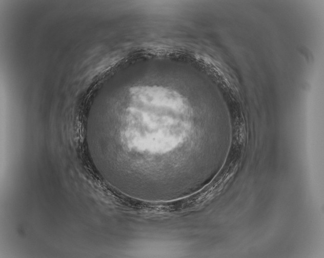 X0000112471253200908171151