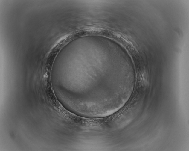 X0000112471254200908171151