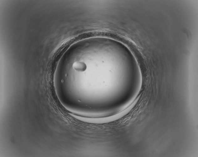 X0000112471255200908171151