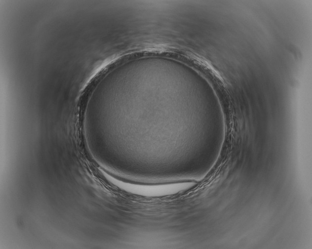 X0000112471256200908171151