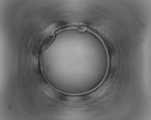 X0000112471257200908171151