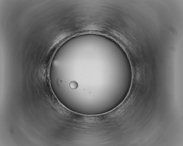 X0000112471258200908171151