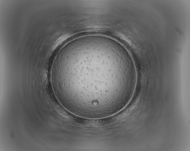 X0000112471259200908171151