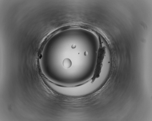 X0000112471260200908171151