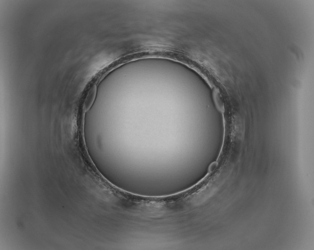 X0000112471261200908171151