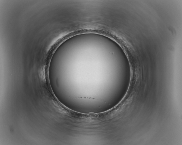 X0000112471262200908171151