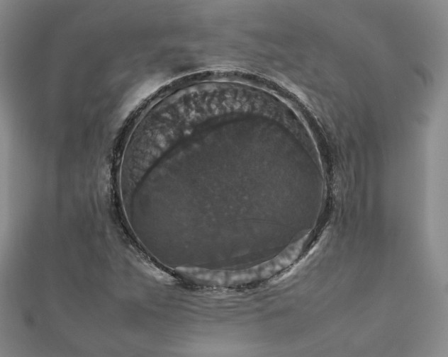 X0000112471263200908171151