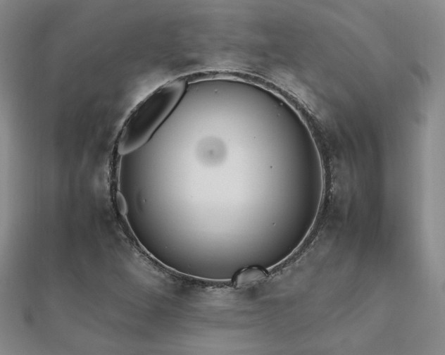 X0000112471264200908171151