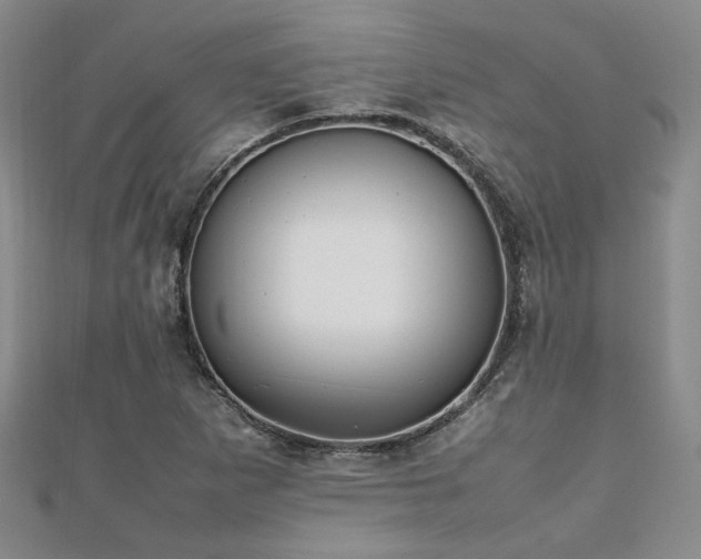 X0000112471265200908171151