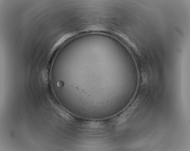 X0000112471266200908171151