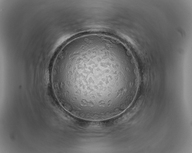 X0000112471267200908171151