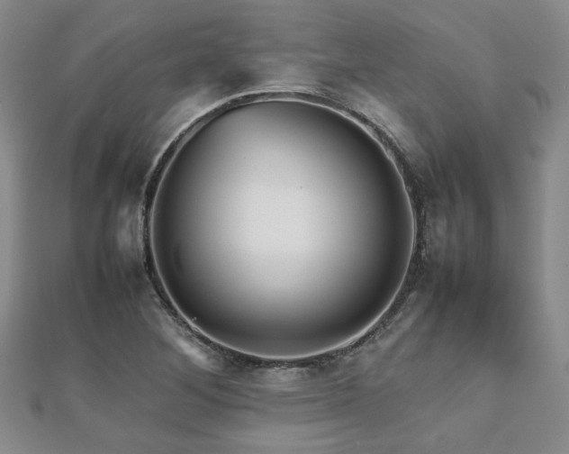 X0000112471268200908171151