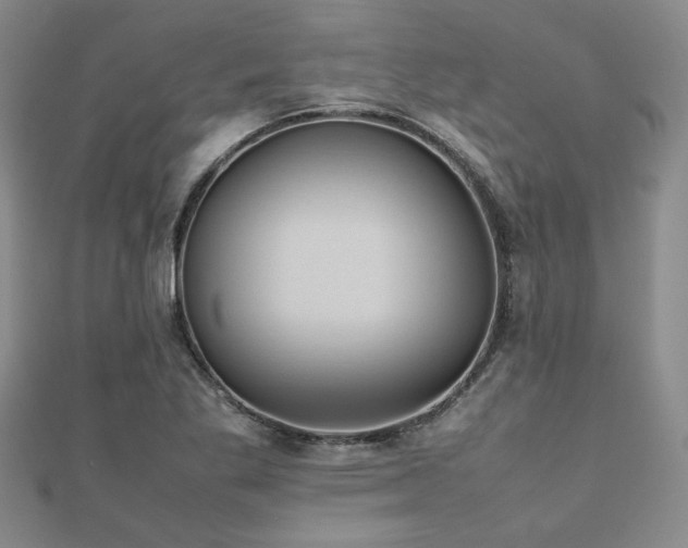 X0000112471269200908171151