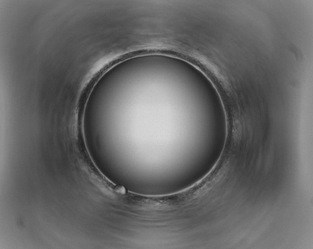 X0000112471270200908171151