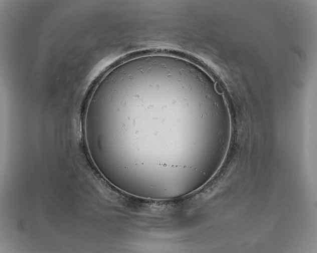 X0000112471271200908171150