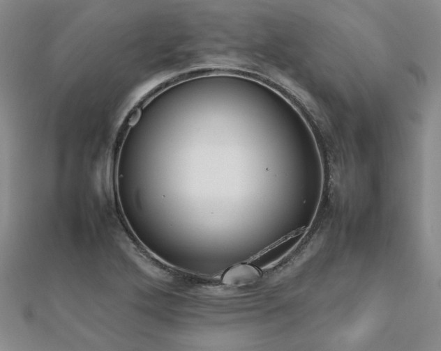 X0000112471272200908171150