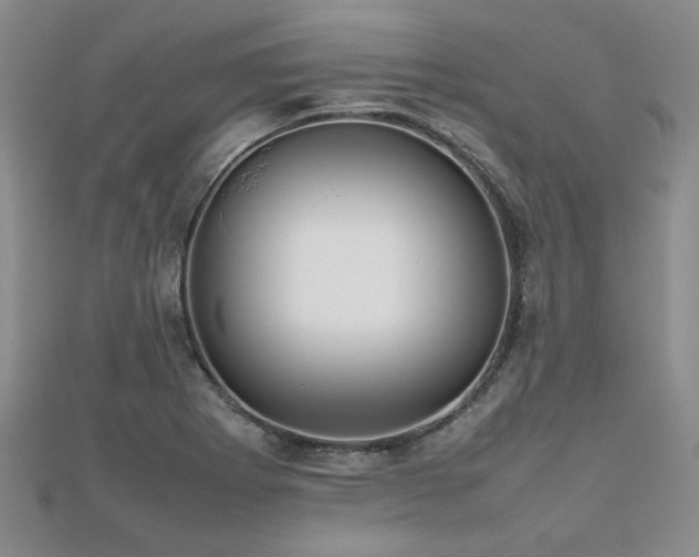 X0000112471273200908171150