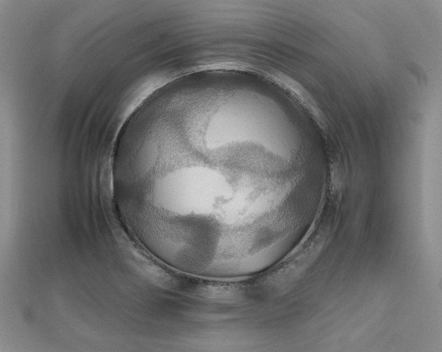 X0000112471274200908171150