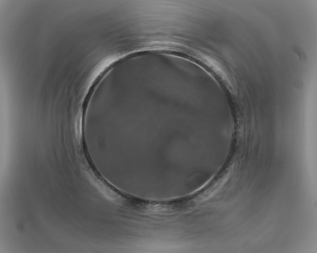 X0000112471275200908171150