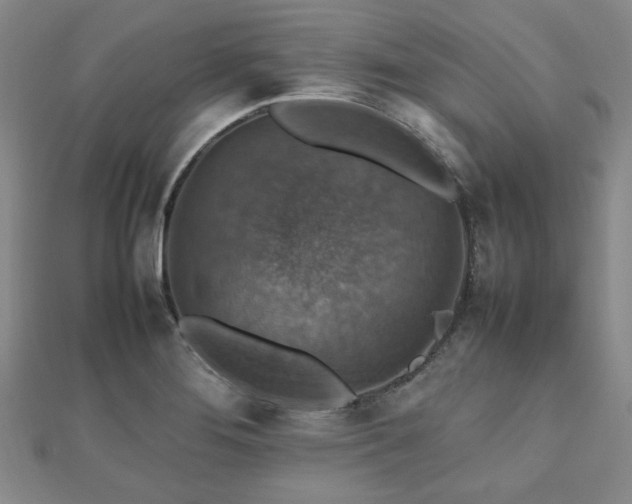 X0000112471276200908171150