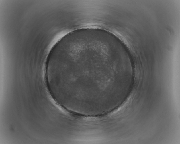 X0000112471277200908171150