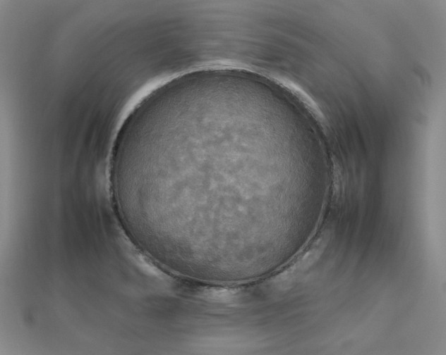 X0000112471278200908171150