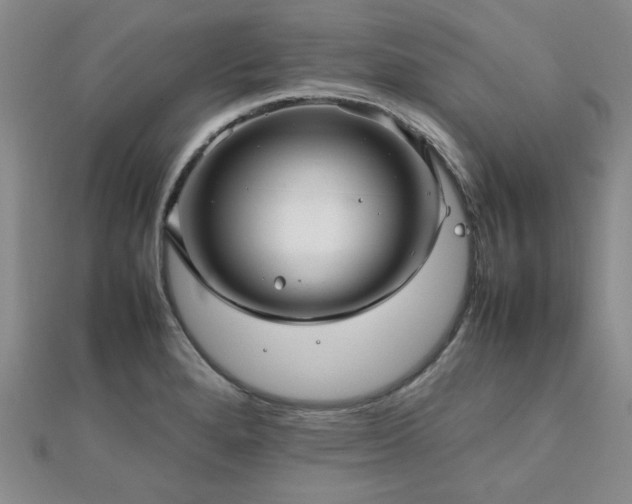 X0000112471280200908171150