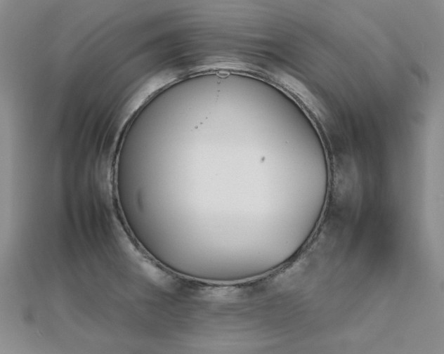 X0000112471282200908171150