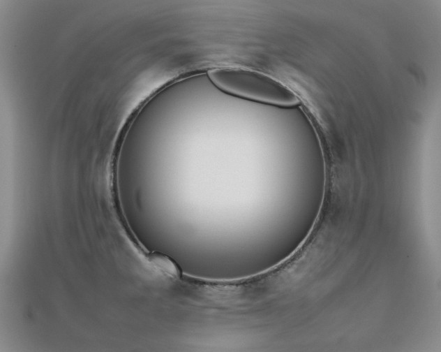 X0000112471285200908171150