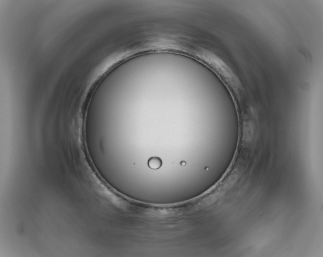 X0000112471286200908171150