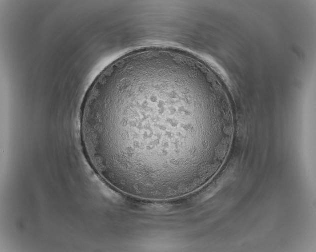 X0000112471287200908171150