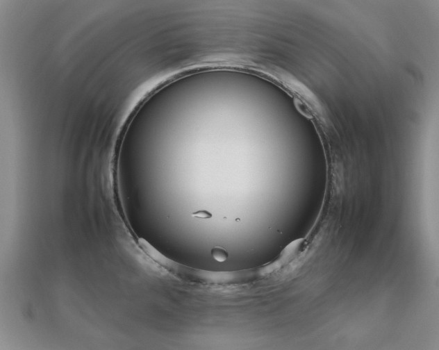 X0000112471288200908171150