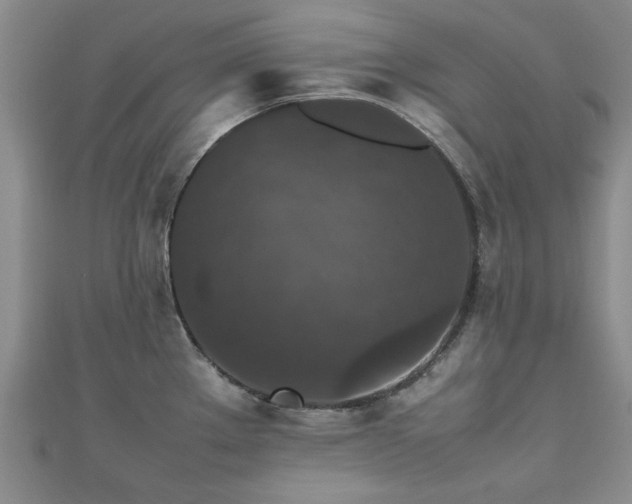 X0000112471289200908171150