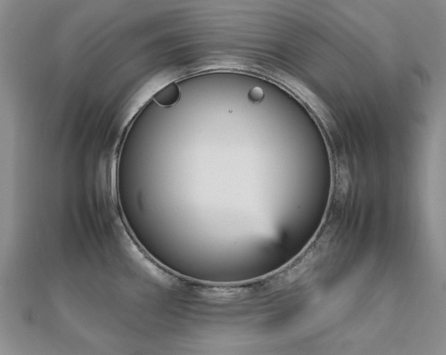 X0000112471290200908171150