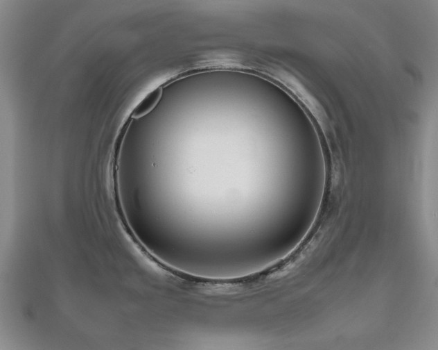 X0000112471293200908171150