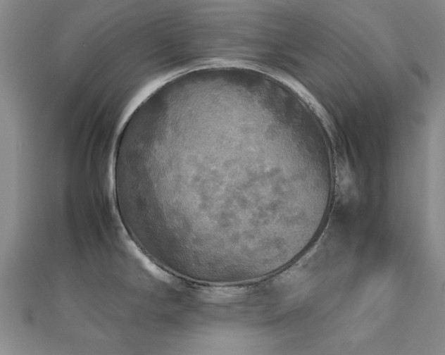 X0000112471294200908171150