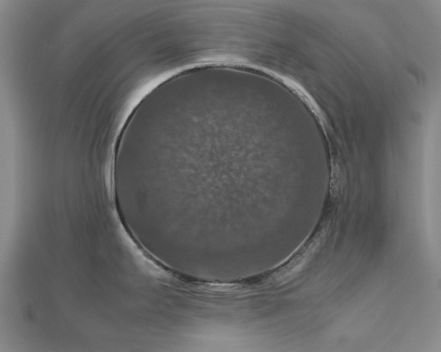 X0000112471295200908171150