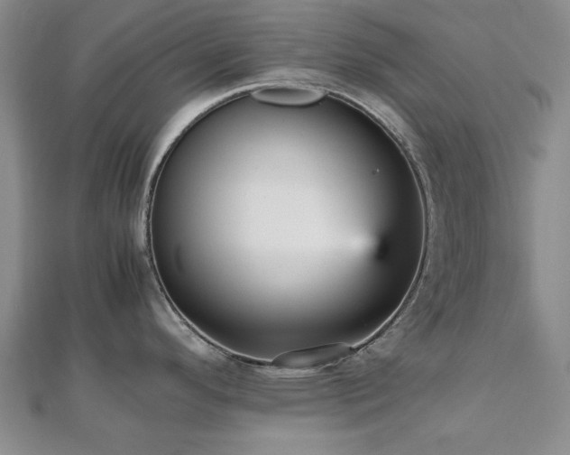 X0000112471296200908171150