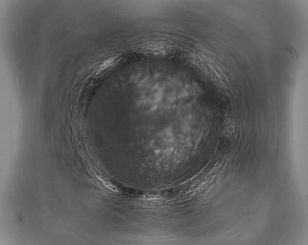 X0000112471297200908171150