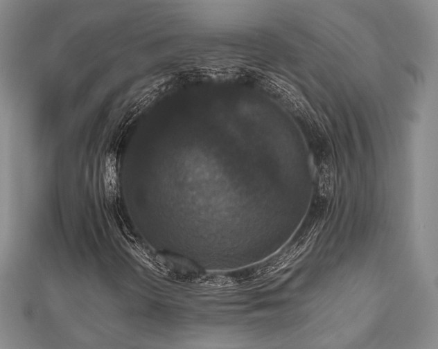 X0000112471298200908171150