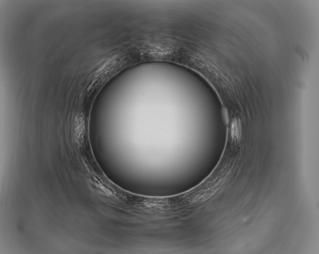 X0000112471299200908171150