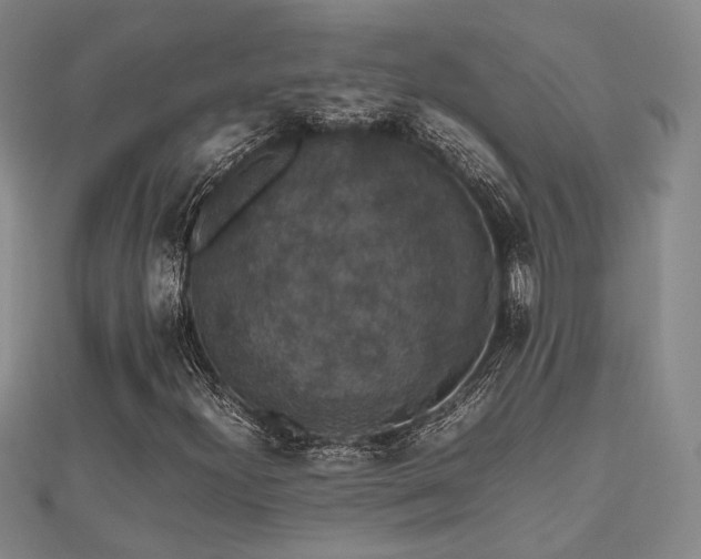 X0000112471300200908171150