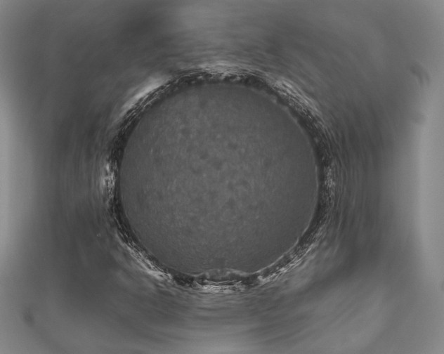 X0000112471302200908171150