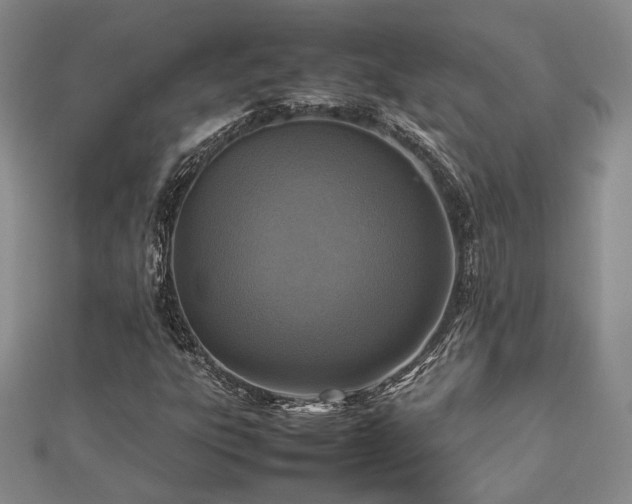 X0000112471303200908171150