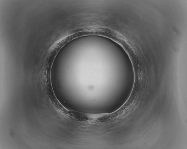 X0000112471304200908171150