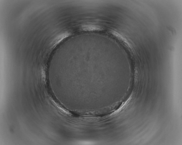 X0000112471305200908171150